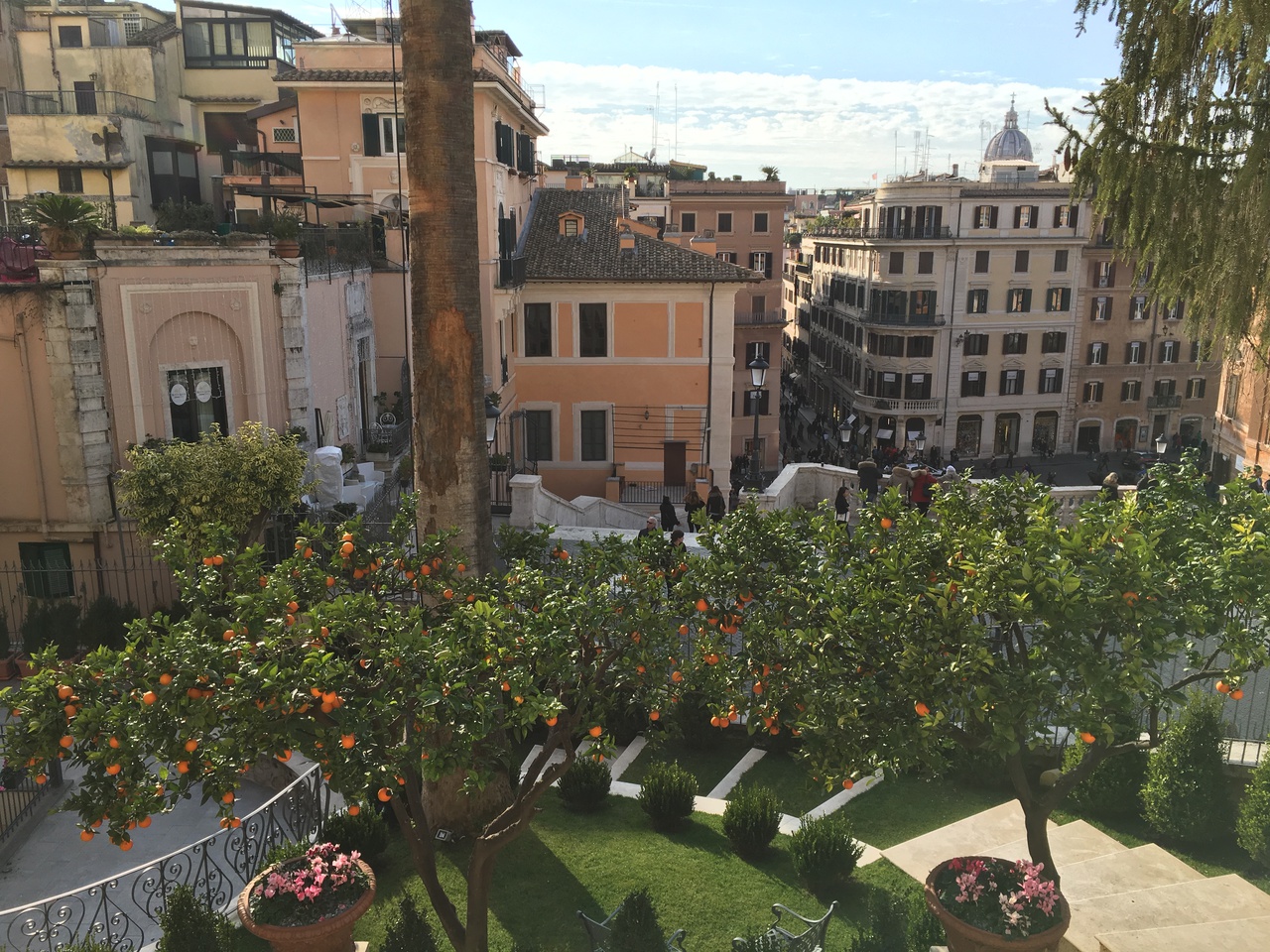 Orange trees in a fenced off area at the Spanish Steps, Rome